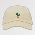 cactus-cap-kakutasu_1